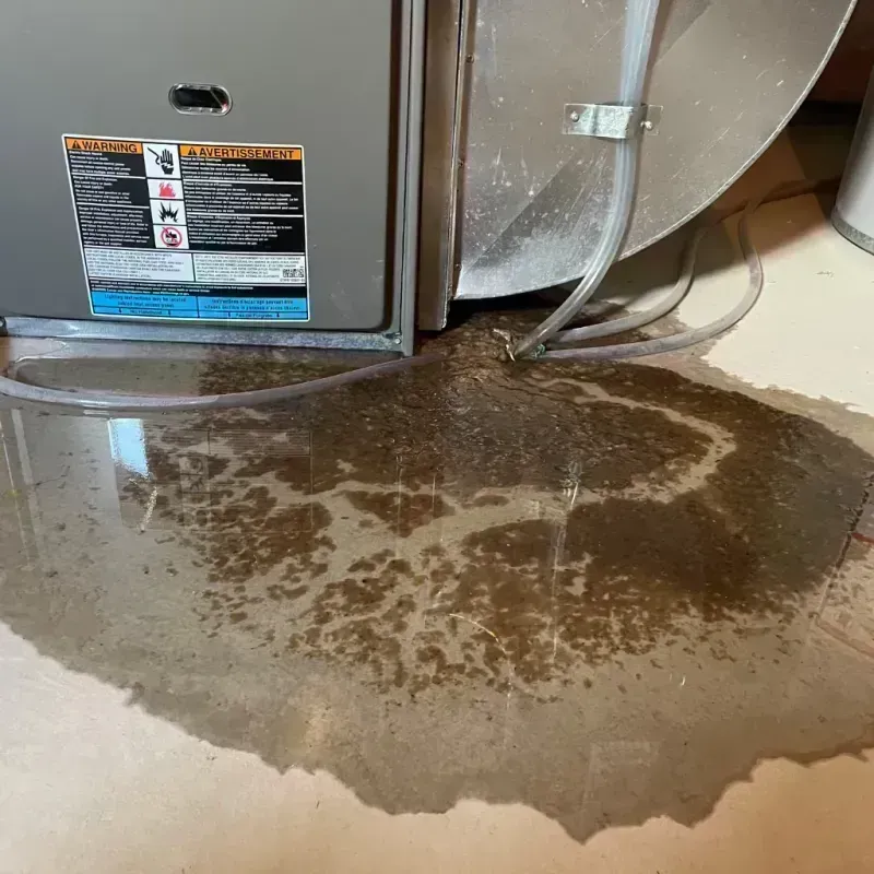 Appliance Leak Cleanup in Saint Paul, MO